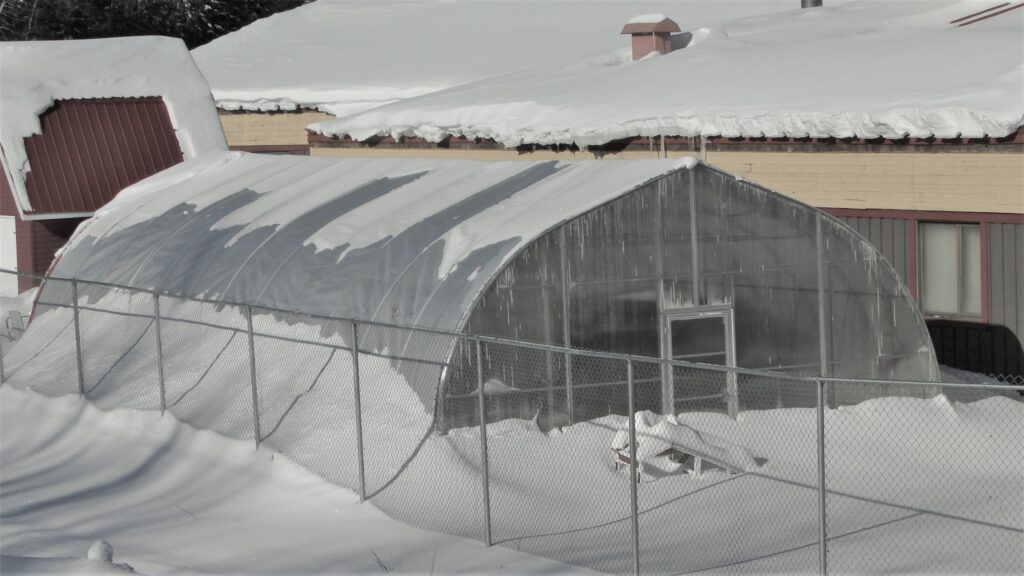 Greenhouse